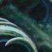 tattoo galleries/ - Green bio organic